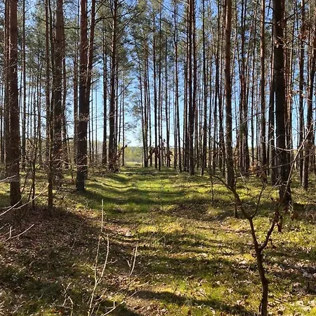 Сasa de vacaciones Smolniki Lesna Oaza Smolniki (Pomerania)