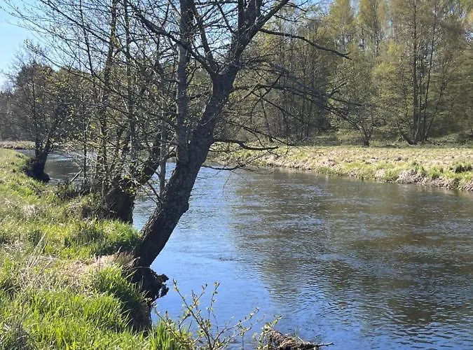 Smolniki Lesna Oaza Prázdninový dům Smolniki (Pomerania)