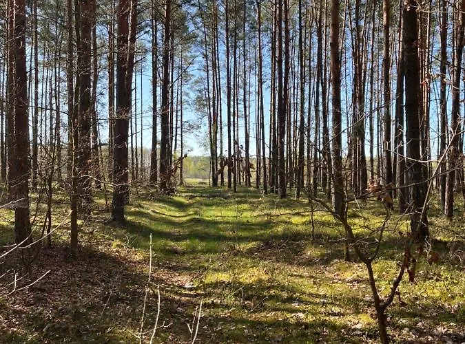 Prázdninový dům Smolniki Lesna Oaza Smolniki (Pomerania)